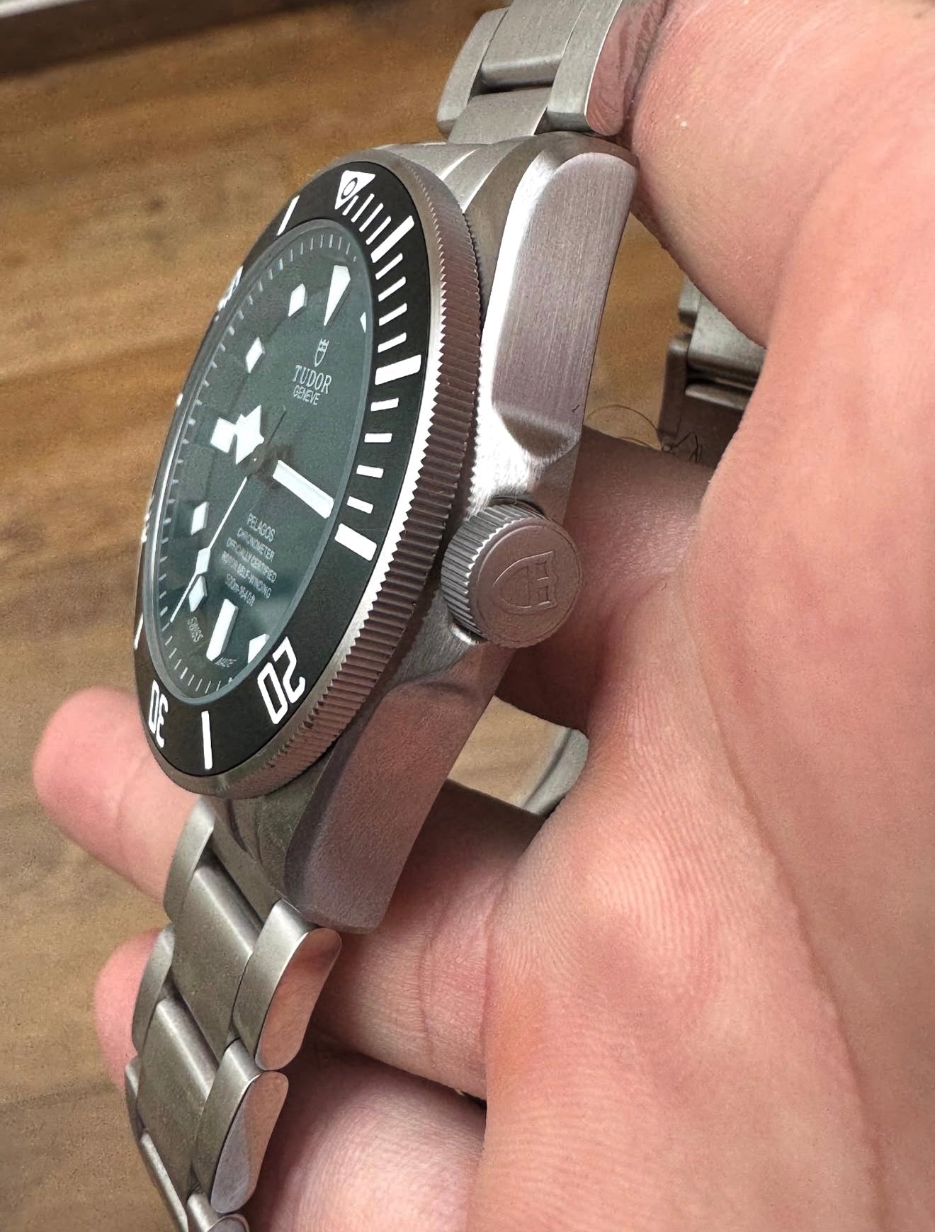 Tudor Pelagos Green Concept